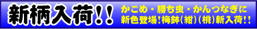 �V�����i���ׂ��܂���!!�ڂ����͂����炩��ǂ���!!