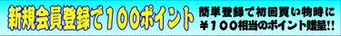 �|�C���g�V�K����o�^�ŁA���񒍕����ɂP�O�O�|�C���g������Ȃ��v���[���g!!