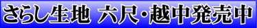 �V���i�i���炵���n�̘Z�ځE�z���̔��J�n���܂����B�ڂ����͂����炩��ǂ���!!