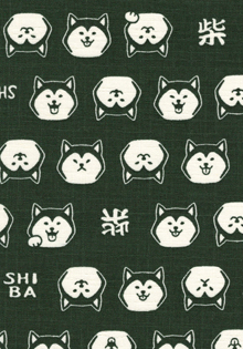 67005�@���L�@�Č��i�΁j