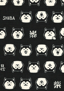 17006�@�Z�ځ@�Č��i���j