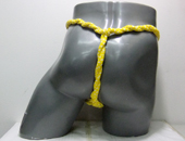 13066�@�Z�ځ@���낱�i���F�j