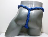 18161�@�Z�ځ@�������炵�@�ڗ��F 25cm��