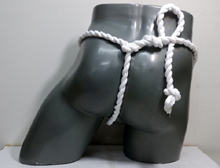 67061�@�˂���R���L�@�J�b�v���@���~��