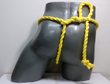 67065�@�˂���R���L�@�J�b�v���F�@���F�~���F