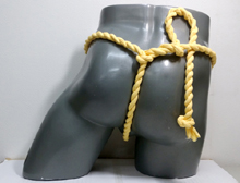 67066�@�˂���R���L�@�J�b�v��ǁ@��ǁ~���