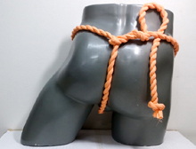 67067�@�˂���R���L�@�J�b�v���񂸁@���񂸁~����