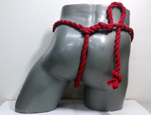 67069�@�˂���R���L�@�J�b�v�������@�������~������