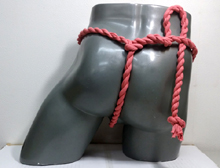 67075�@�˂���R���L�@�J�b�v���@���~��