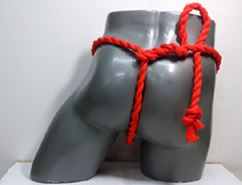 67077�@�˂���R���L�@�J�b�v��ԁ@��ԁ~���